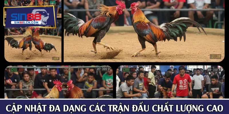 Cập nhật đa dạng các trận tranh tài chất lượng cao
