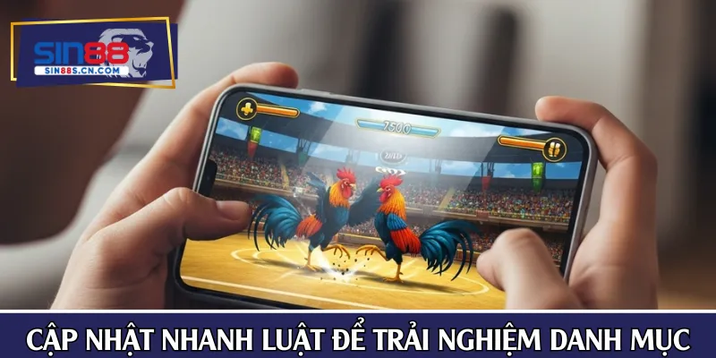 Cập nhật nhanh luật cơ bản để trải nghiệm danh mục