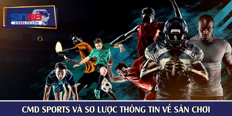 CMD Sports và sơ lược thông tin về sân chơi