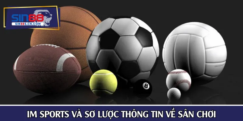 IM Sports và sơ lược thông tin về sân chơi