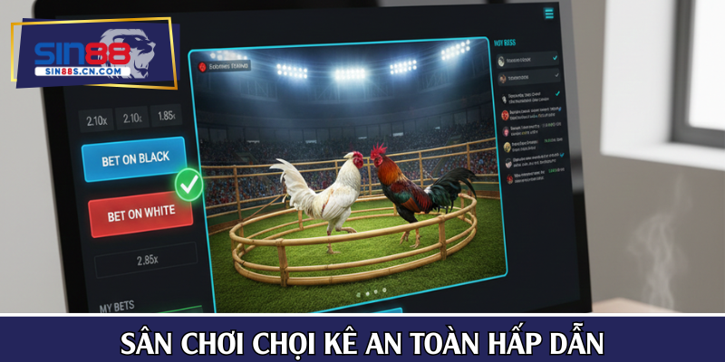 Sân chơi chọi kê an toàn hấp dẫn