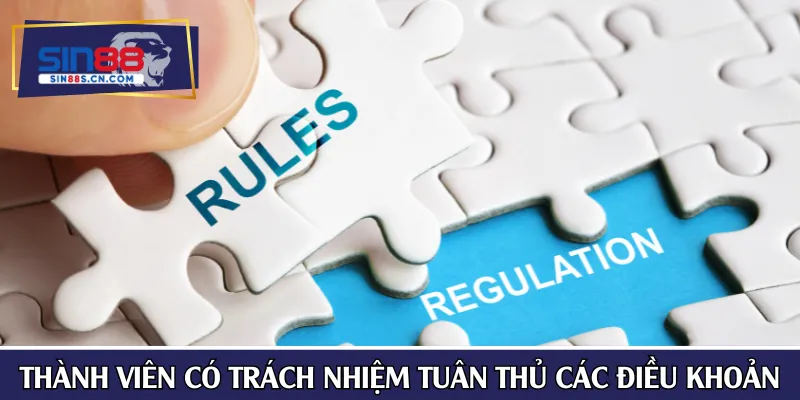 Thành viên có trách nhiệm tuân thủ các điều khoản