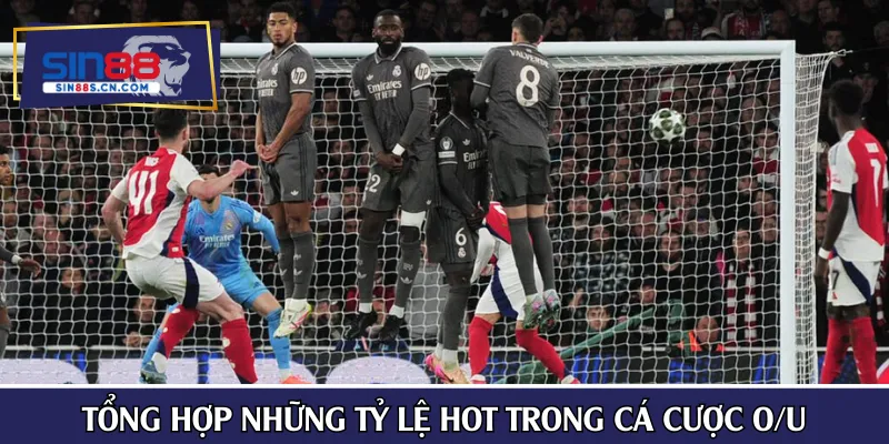 Tổng hợp những tỷ lệ hot trong cá cược O/U