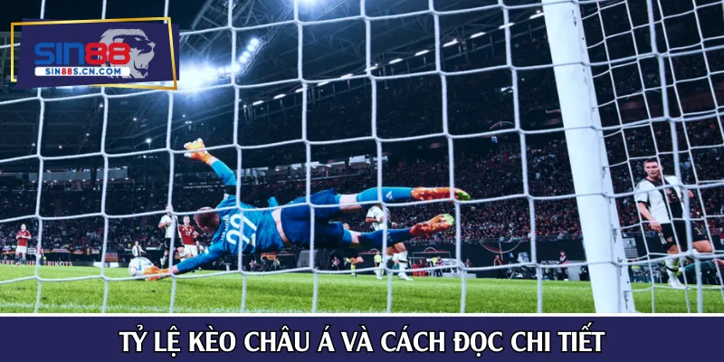 Tỷ lệ kèo châu Á và hướng dẫn nhanh cách đọc